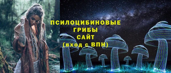 гидропоника Богородск