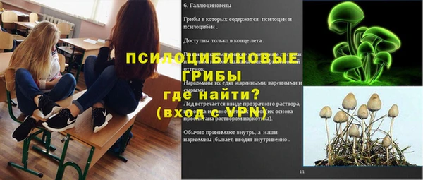 гидропоника Богородск