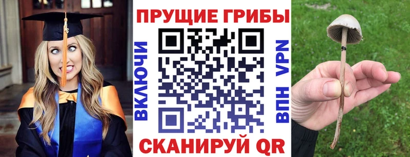 Псилоцибиновые грибы прущие грибы  мориарти официальный сайт  Пестово 